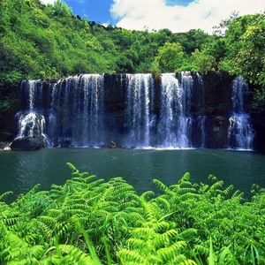 Meet your Posher, Art